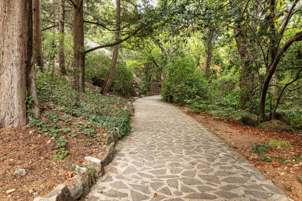 Stone Walkway Repair in Baltimore