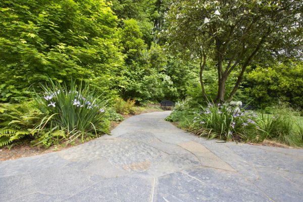 Stone Hardscape Service in Baltimore