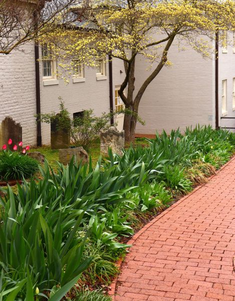 Brick Flatwork Repair in Baltimore
